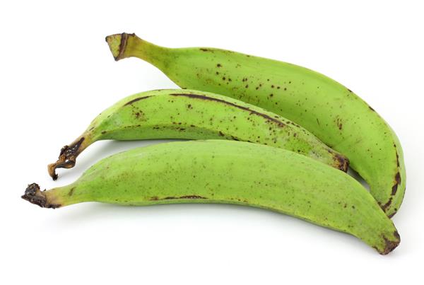 Platano macho